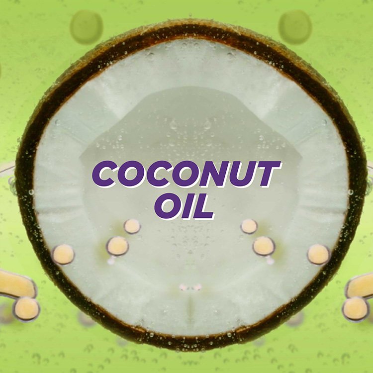 Garnier coconut conditioner